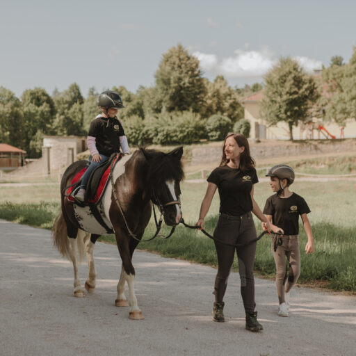 Jahanje Grad Prestranek / Horseback riding on Prestranek Castle