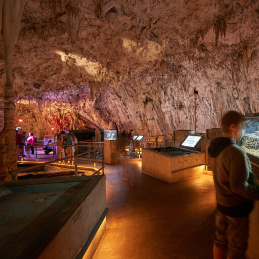 Proteusova jama z Vivarijem / Proteus Cave with a vivarium
