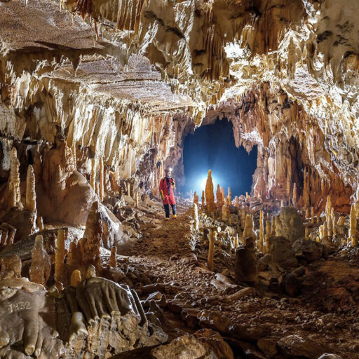 Treking-Postonjska jama / Trekking Postojna Cave