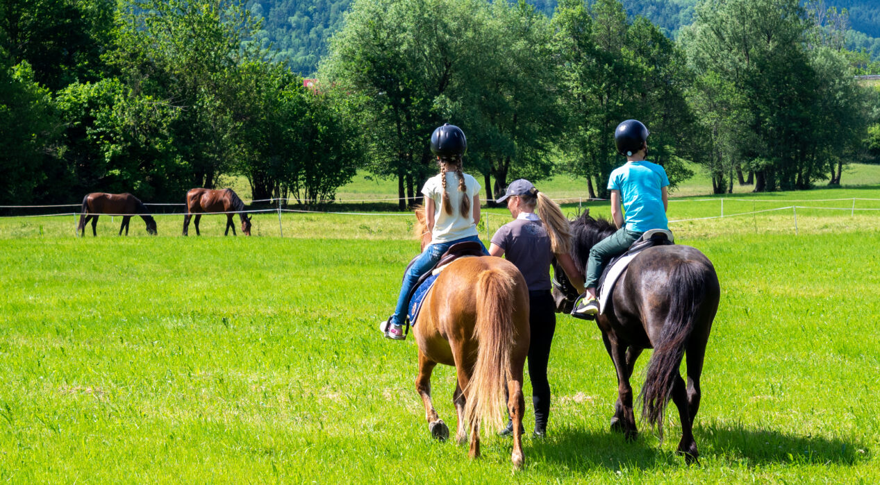Horseback riding in Postojna